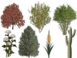 3D модели растений в программе «Наш Сад»